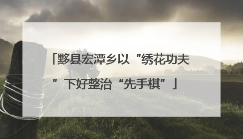 黟县宏潭乡以“绣花功夫”下好整治“先手棋”